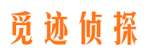 山阳市私家侦探